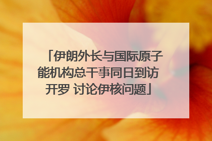 伊朗外长与国际原子能机构总干事同日到访开罗 讨论伊核问题