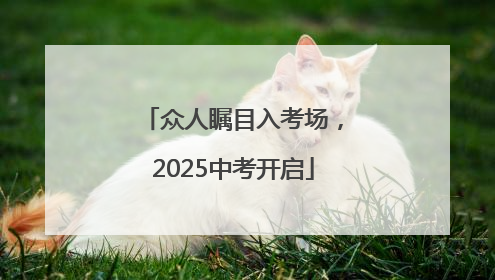 众人瞩目入考场，2025中考开启