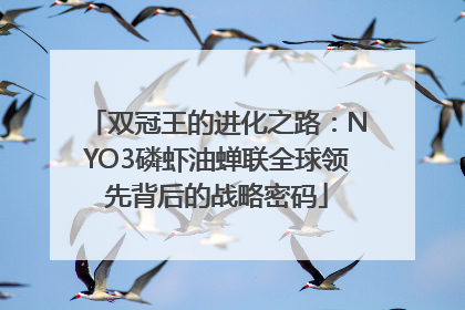 双冠王的进化之路：NYO3磷虾油蝉联全球领先背后的战略密码