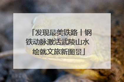 发现最美铁路丨钢铁动脉激活武陵山水 绘就文旅新图景