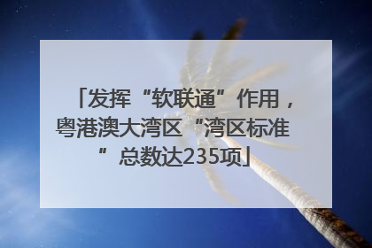 发挥“软联通”作用，粤港澳大湾区“湾区标准”总数达235项