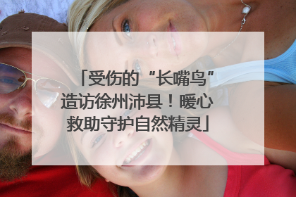 受伤的“长嘴鸟”造访徐州沛县！暖心救助守护自然精灵
