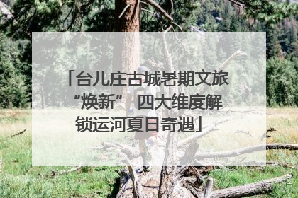 台儿庄古城暑期文旅“焕新” 四大维度解锁运河夏日奇遇