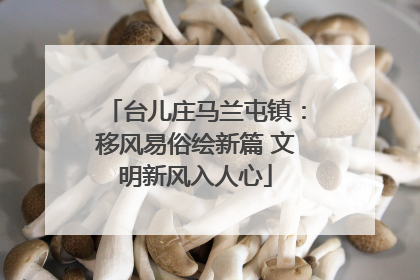台儿庄马兰屯镇：移风易俗绘新篇 文明新风入人心