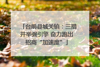 台前县城关镇：三措并举强引擎 奋力跑出招商“加速度”