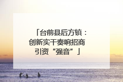 台前县后方镇：创新实干奏响招商引资“强音”