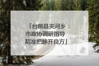 台前县夹河乡：市政协调研指导 精准把脉开良方