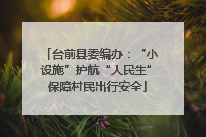 台前县委编办：“小设施”护航“大民生” 保障村民出行安全