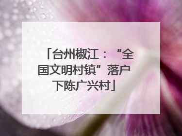 台州椒江：“全国文明村镇”落户下陈广兴村