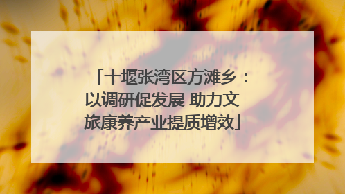 十堰张湾区方滩乡：以调研促发展 助力文旅康养产业提质增效