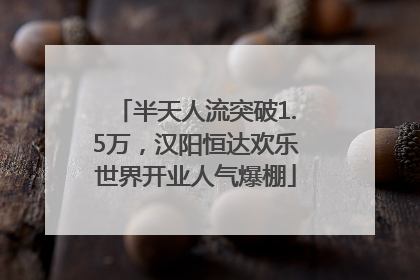 半天人流突破1.5万，汉阳恒达欢乐世界开业人气爆棚