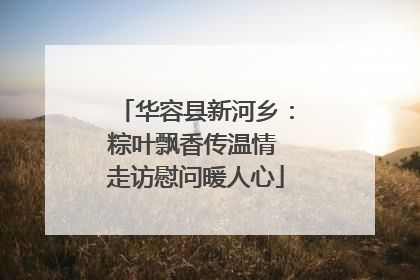 华容县新河乡：粽叶飘香传温情 走访慰问暖人心