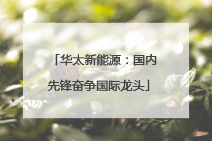 华太新能源：国内先锋奋争国际龙头
