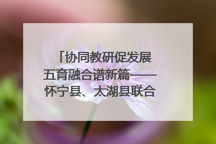 协同教研促发展 五育融合谱新篇——怀宁县、太湖县联合教研活动在月山镇中心学校成功举办