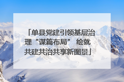 单县党建引领基层治理“谋篇布局” 绘就共建共治共享新图景