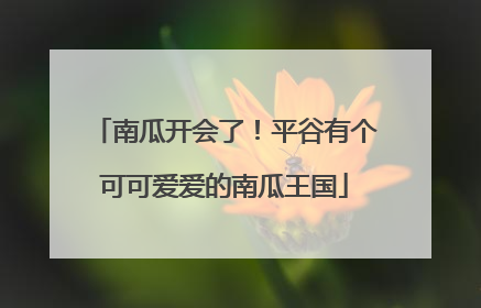 南瓜开会了！平谷有个可可爱爱的南瓜王国
