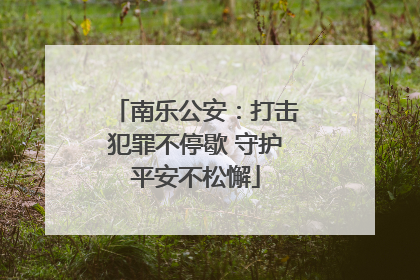 南乐公安：打击犯罪不停歇 守护平安不松懈