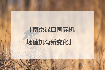 南京禄口国际机场值机有新变化