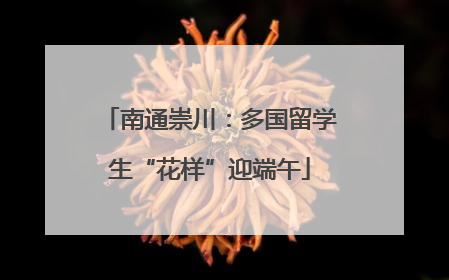 南通崇川：多国留学生“花样”迎端午