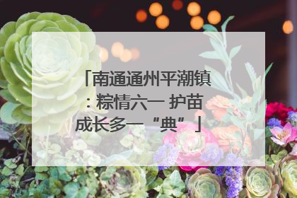南通通州平潮镇：粽情六一 护苗成长多一“典”