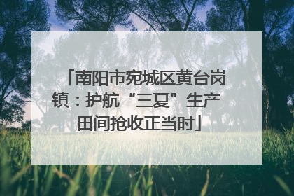 南阳市宛城区黄台岗镇：护航“三夏”生产 田间抢收正当时