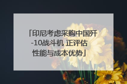 印尼考虑采购中国歼-10战斗机 正评估性能与成本优势