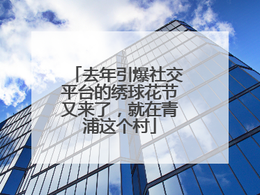 去年引爆社交平台的绣球花节又来了，就在青浦这个村