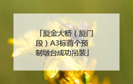 厦金大桥（厦门段）A3标首个预制墩台成功吊装