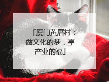 厦门黄厝村：做文化的梦，享产业的福