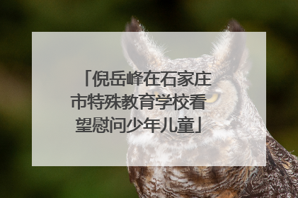 倪岳峰在石家庄市特殊教育学校看望慰问少年儿童