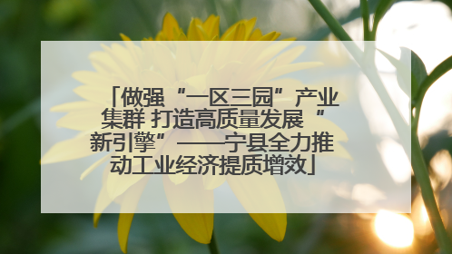 做强“一区三园”产业集群 打造高质量发展“新引擎”——宁县全力推动工业经济提质增效