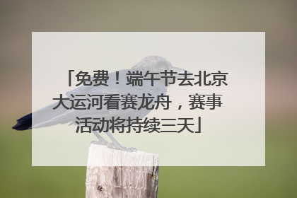 免费！端午节去北京大运河看赛龙舟，赛事活动将持续三天