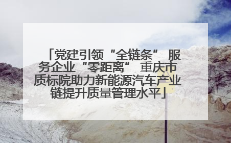 党建引领“全链条” 服务企业“零距离” 重庆市质标院助力新能源汽车产业链提升质量管理水平