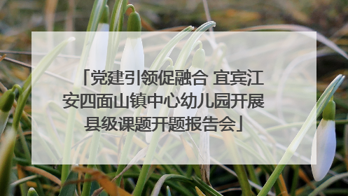 党建引领促融合 宜宾江安四面山镇中心幼儿园开展县级课题开题报告会