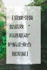 党建引领提质效 “局港联动”护航企业合规发展