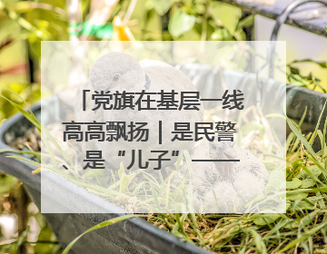 党旗在基层一线高高飘扬｜是民警、是“儿子”——申飞飞在太行山中的一线坚守
