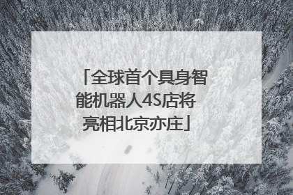 全球首个具身智能机器人4S店将亮相北京亦庄