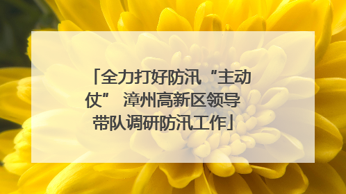 全力打好防汛“主动仗” 漳州高新区领导带队调研防汛工作