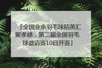 全国业余羽毛球精英汇聚孝感，第二届全国羽毛球邀请赛10日开赛