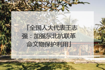 全国人大代表王志强：加强东北抗联革命文物保护利用