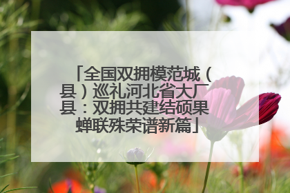 全国双拥模范城（县）巡礼河北省大厂县：双拥共建结硕果 蝉联殊荣谱新篇