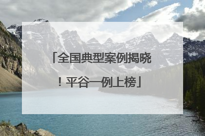 全国典型案例揭晓！平谷一例上榜