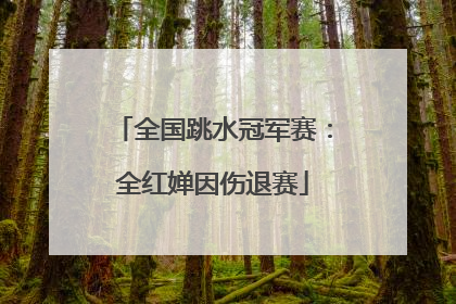 全国跳水冠军赛：全红婵因伤退赛