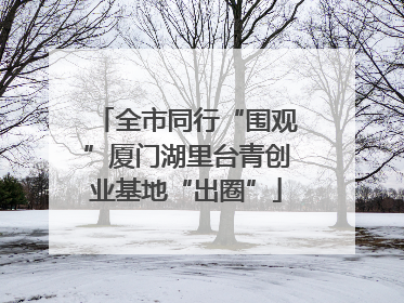全市同行“围观”厦门湖里台青创业基地“出圈”