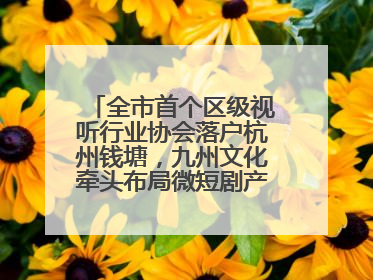 全市首个区级视听行业协会落户杭州钱塘，九州文化牵头布局微短剧产业高地