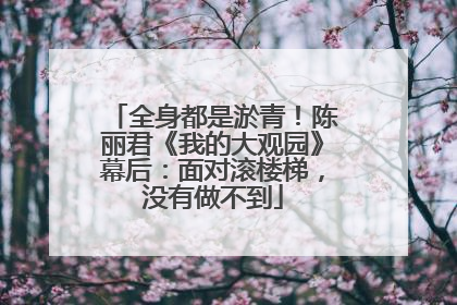 全身都是淤青！陈丽君《我的大观园》幕后：面对滚楼梯，没有做不到