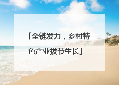 全链发力，乡村特色产业拔节生长