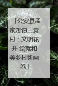 公安县孟家溪镇三袁村：文明花开 绘就和美乡村新画卷