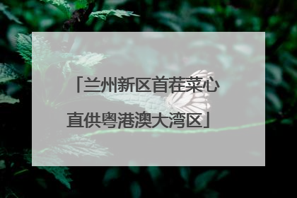 兰州新区首茬菜心直供粤港澳大湾区