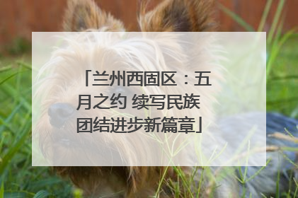 兰州西固区：五月之约 续写民族团结进步新篇章